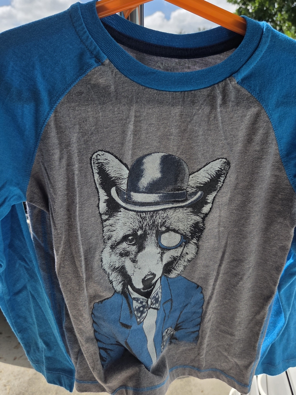 Arizona Jean Company Gray Raglan Long Sleeve with Blue Fox Graphic